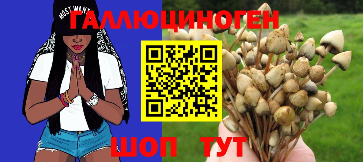 Псилоцибиновые грибы MAGIC MUSHROOMS Сибай